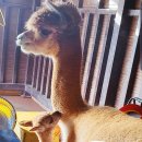 봉화우체국 이미지