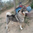 럭키농장 이미지