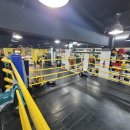 복싱바이러스 송파방이점 이미지