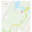 밤티민박 | Happy new year new york ~