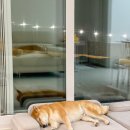 푸욱스테이 이미지