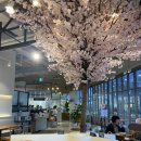 윤연당(진주제빵소) 이미지