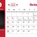 이레올래 이미지