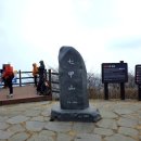 천장호 출렁다리 | 청양의 칠갑산 등산 후기 천장호 출렁다리 출발