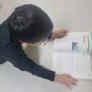 재밌는급수종이접기 | 우리 아이 &lt;바빠 초등 문해력 신문 1권&gt;으로 비문학까지 든든하게 챙겨주기