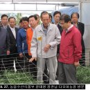 다모아농장 이미지