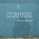 현상언「홍매」 Daum카페