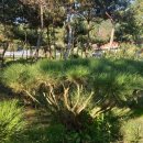 조선농장 이미지