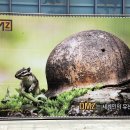 강원도디엠제트박물관 이미지