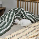 정관덕산 1길 22 | 𝟚𝟘𝟚𝟞.𝟘𝟙