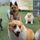 산책가까 이미지