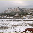 당산마을 이미지