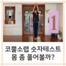 코뿔소랩 이미지