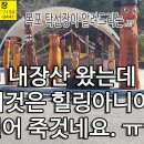 11월 26일, 내장산 단풍 구경 왔는데 허벌나게 추워서 막걸리 한잔 먹고 그냥 갑니다. 이미지