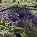 김포 다도박물관 이미지