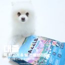 파밀리에드마스코타천안불당지점 - 10433 | 소화 잘되는 대즐 기호성 좋은 사료 스몰브리드 후기