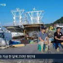 꽃게청년수산