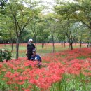 구월이십일 이미지