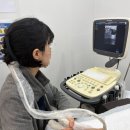 김동물병원 | 희망로H동물병원 내돈내산 후기/ 대구 남구 동물병원 추천