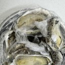 참굴 | 굴은 먹고 싶은데 노로바이러스가 걱정된다면? 바위굴 임산부가 실제로 주문해서 먹은 후기🦪