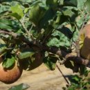 청등농장 이미지