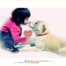 단비 Daum카페