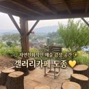 더힐링갤러리 | [충북 진천 이월면 카페] 🌼 한적한 오두막&예쁜 뒷마당 힐링공간 🌿, 갤러리카페 도종 내돈내산 솔직후기 🧡❕