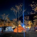 초록여울 캠핑장 이미지