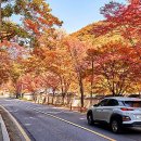 산성로L Daum카페