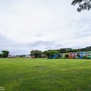 무지개가 피어나는 이미지