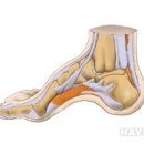 레푸스수성점 이미지
