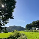 함평 유리네민박 이미지