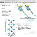 (비즈공예도안) 포도송이귀걸이 이미지