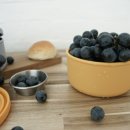 겨자씨이야기 이미지