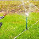 신 동원농장 이미지