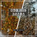 현대 | 더현대 2025 크리스마스 가볍게 오픈런 후기