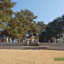 강릉김씨묘역 티스토리