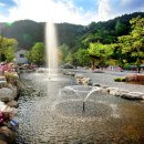 올래 캠핑장 이미지