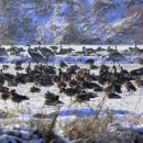 장항공원 화장실 이미지