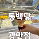 광안리 신상 간식 동백당 광안점 입에서 살살 녹는 과일모찌와 젤라또 솔직후기