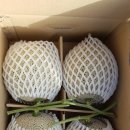 효정농장 이미지