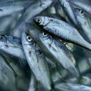 1·2·3·4 이미지