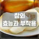 점촌-소로3-332 | 참외 효능 부작용 : 1개 칼로리와 영양성분 알고 껍질 효능과 먹는법