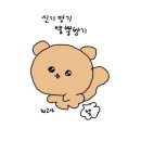 임고4 - 996 | 임고4