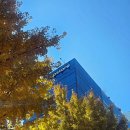 수원-1677 | 💍W. 웨딩밴드｜종로 밀알쥬얼리 계약후기💎｜추천인코드 | 꾸이