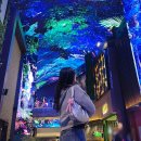 스타일 퍼피 | 실버백 추천 : 아디다스 퍼피 새틴 미니 숄더백 II3393 무신사 내돈내산 후기