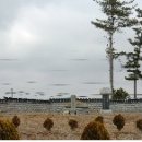 솔밭 1994 이미지