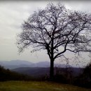 동두천큰시장 이미지