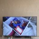엔에스전기 | 삼성 125.7cm(50인치) UHD 4K 1등급 비즈니스TV LH50BEFHLGFXKR 스탠드형 구매 후기