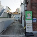 개나리연초